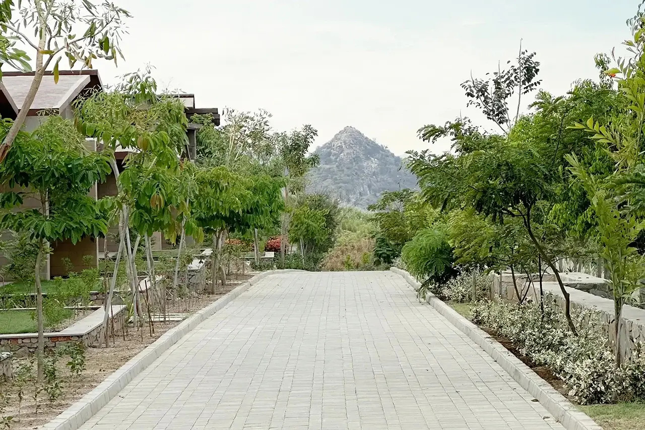 Leisure Activities in Udaipur